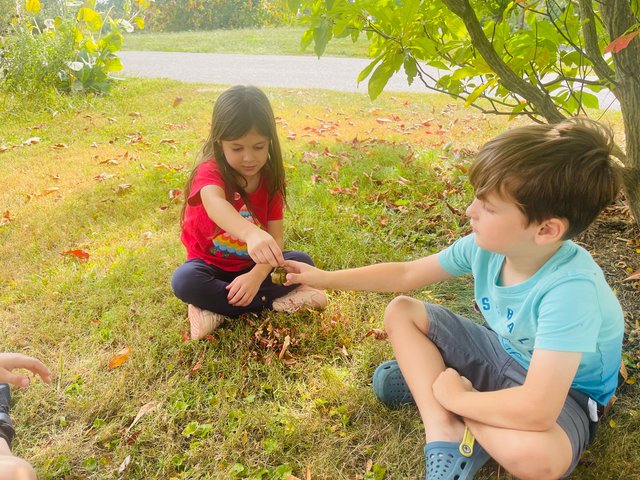 Peaceful classroom atmosphere during work time at Spicebush Montessori School