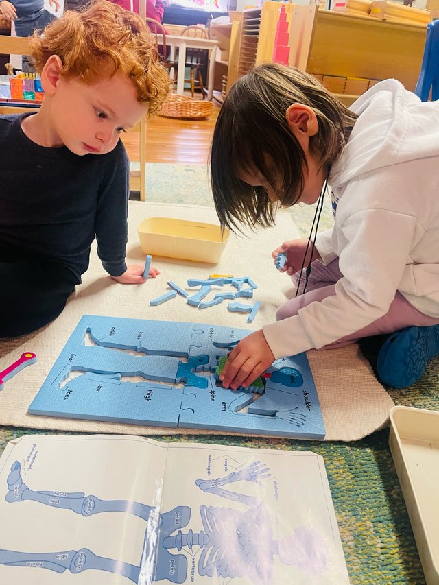 Children exploring nature in the outdoor classroom at Spicebush Montessori School