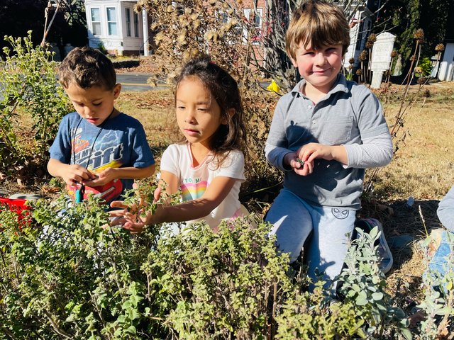 Students helping each other learn at Spicebush Montessori School