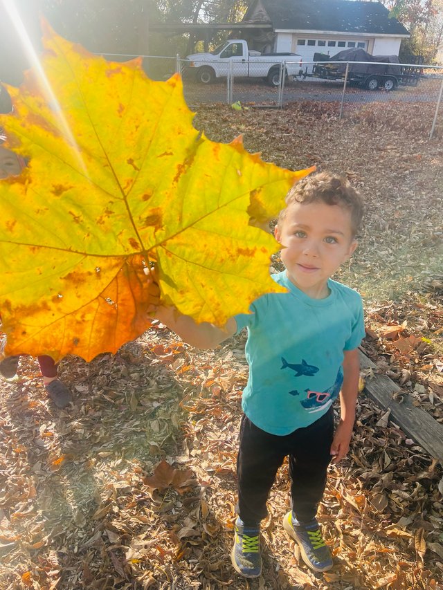 Children exploring nature in the outdoor classroom at Spicebush Montessori School