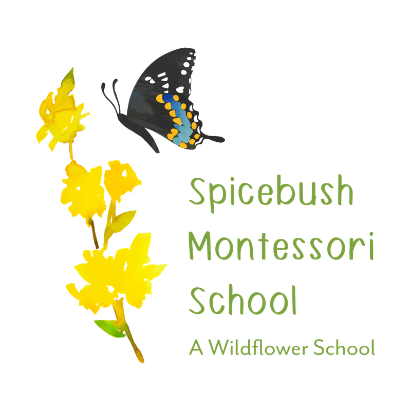 Spicebush Montessori School